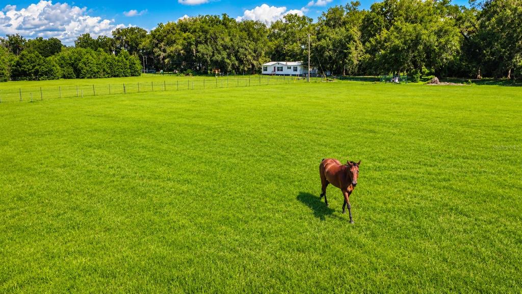 Property for sale at 14240 SR 471, WEBSTER, FL, 33597