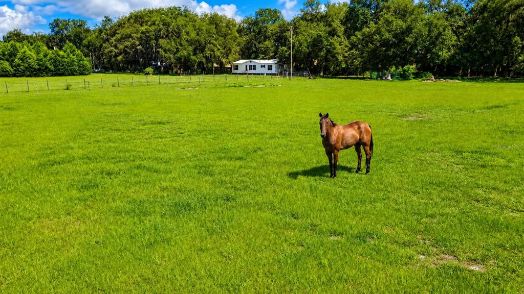 Property for sale at 14240 SR 471, WEBSTER, FL, 33597