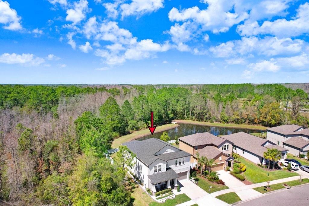 Property for sale at 8721 SAVORY WALK DRIVE, LAND O LAKES, FL, 34637