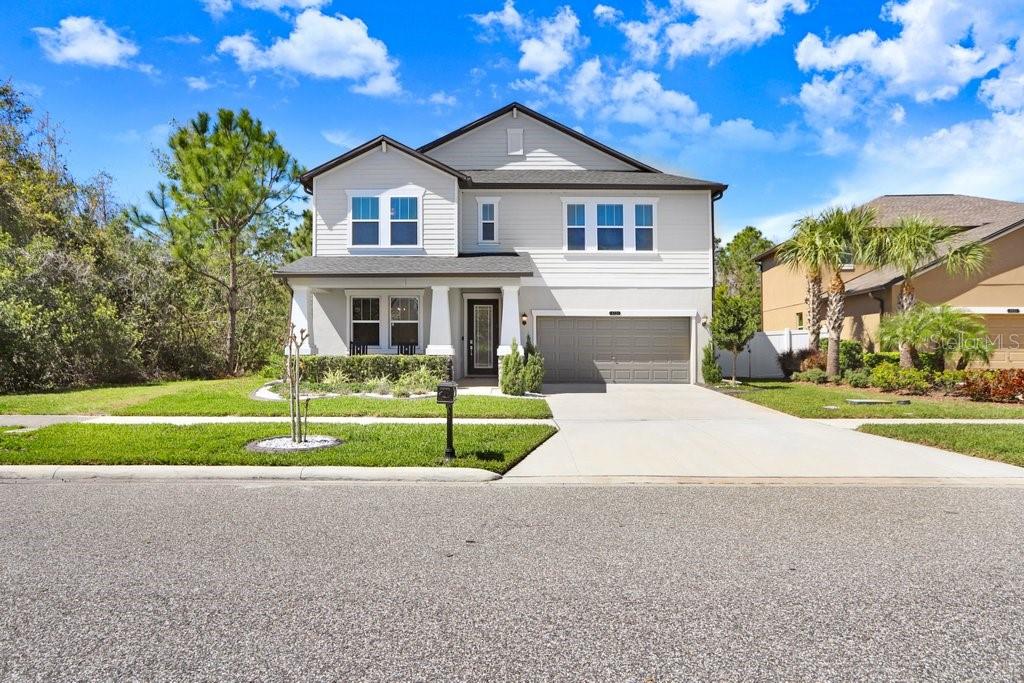 Property for sale at 8721 SAVORY WALK DRIVE, LAND O LAKES, FL, 34637