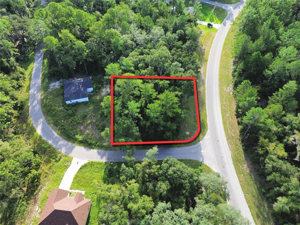 Property for sale at TBD FISHER ROAD, OCKLAWAHA, FL, 32179