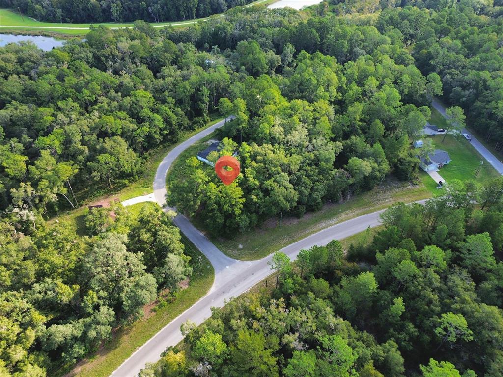Property for sale at TBD FISHER ROAD, OCKLAWAHA, FL, 32179