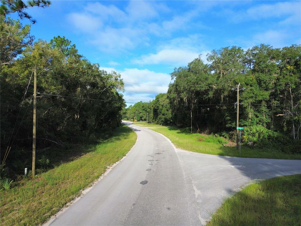 Property for sale at TBD FISHER ROAD, OCKLAWAHA, FL, 32179