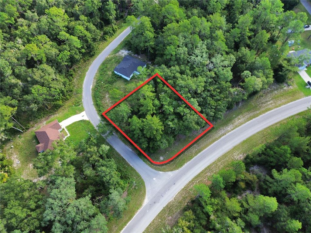 Property for sale at TBD FISHER ROAD, OCKLAWAHA, FL, 32179