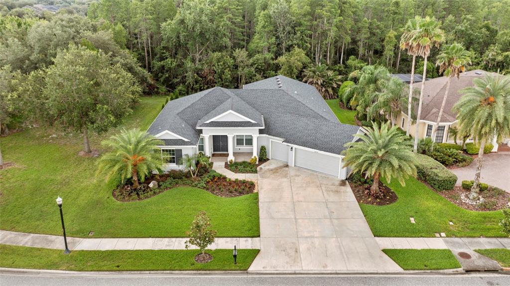 Property for sale at 20454 LACE CASCADE RD, LAND O LAKES, FL, 34637