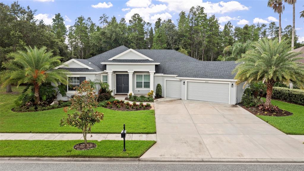 Property for sale at 20454 LACE CASCADE RD, LAND O LAKES, FL, 34637