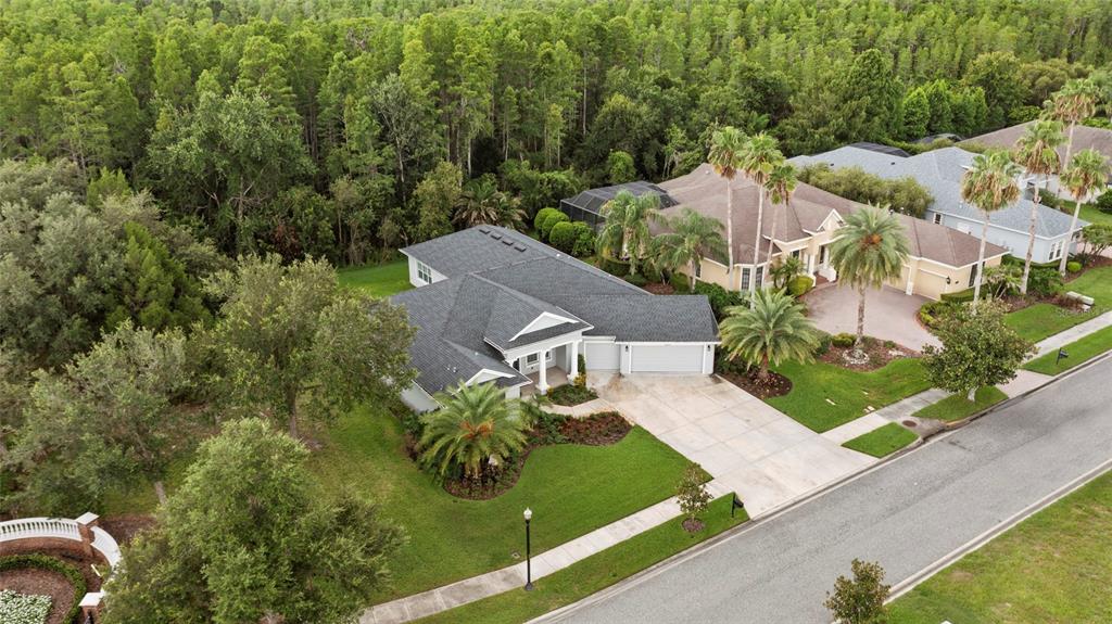 Property for sale at 20454 LACE CASCADE RD, LAND O LAKES, FL, 34637