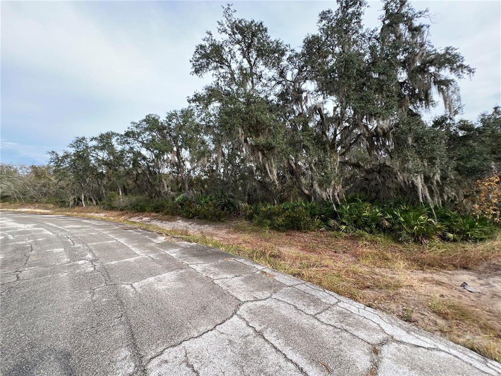 Property for sale at 1251 BALTIC DRIVE, KISSIMMEE, FL, 34759