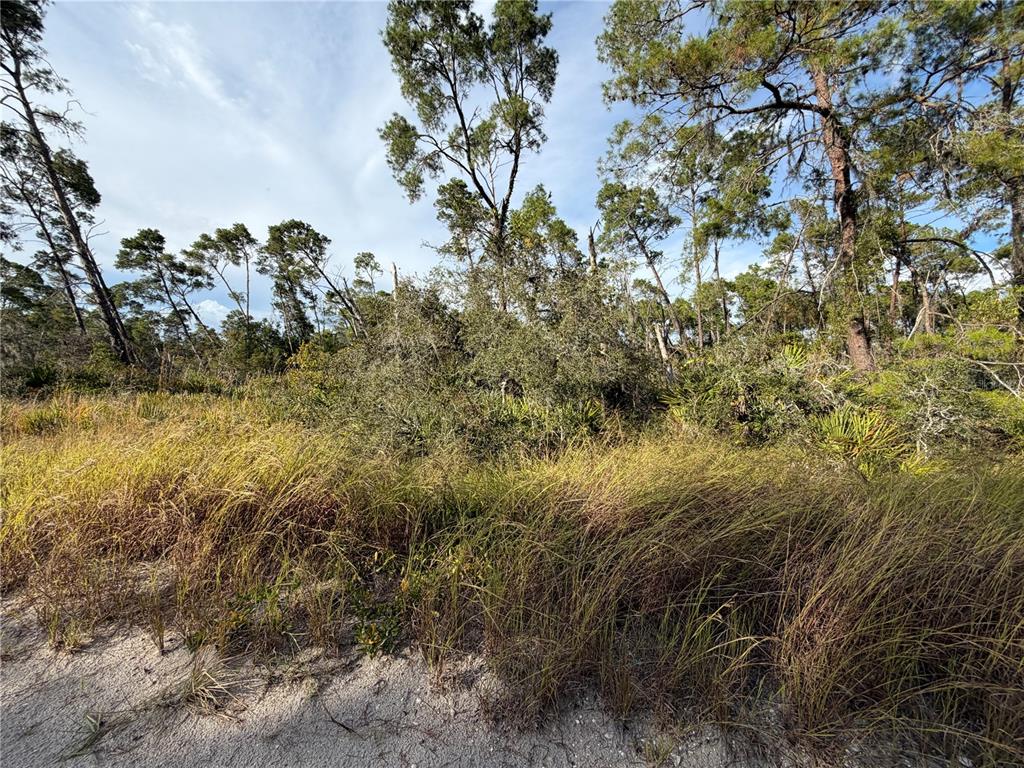 Property for sale at 478 DARTER AVENUE, SEBRING, FL, 33870