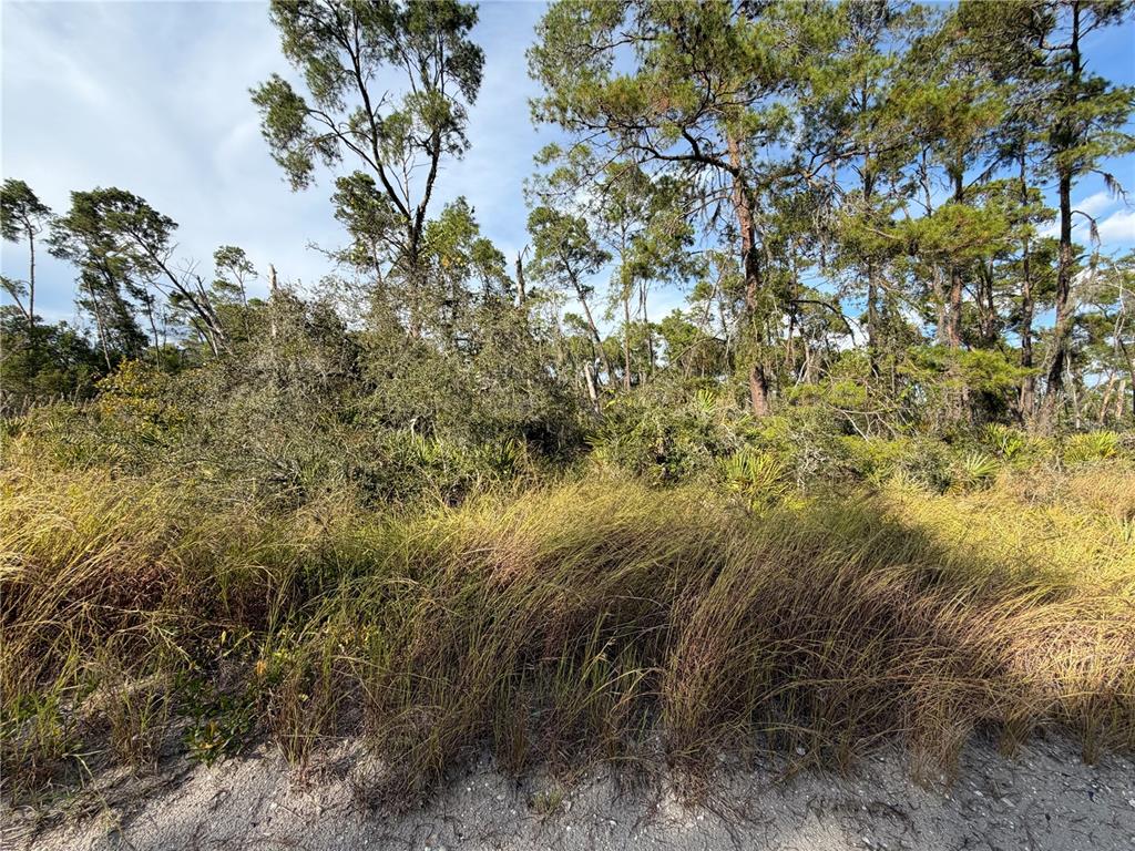 Property for sale at 478 DARTER AVENUE, SEBRING, FL, 33870