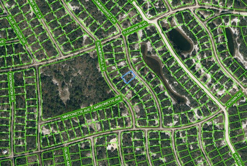 Property for sale at 316 SUMMERSWEET DRIVE, LAKE PLACID, FL, 33852