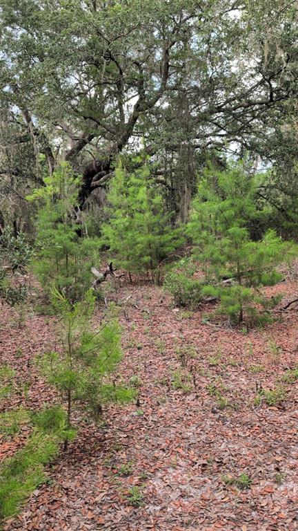 Property for sale at 102 B STREET, INTERLACHEN, FL, 32148