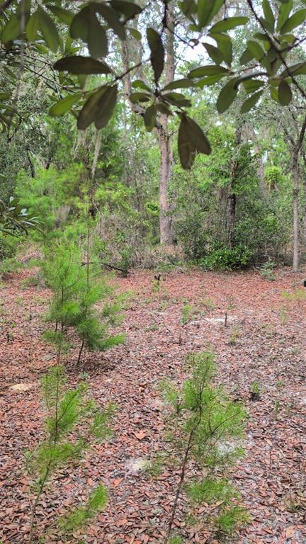 Property for sale at 102 B STREET, INTERLACHEN, FL, 32148