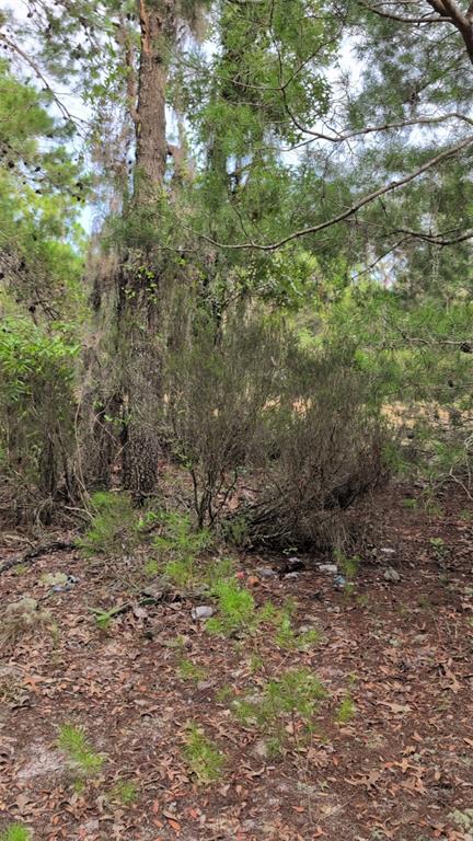 Property for sale at 102 B STREET, INTERLACHEN, FL, 32148