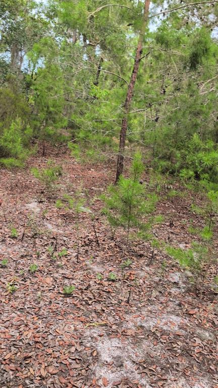 Property for sale at 102 B STREET, INTERLACHEN, FL, 32148