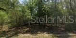 Property for sale at 8545 N WALLINGFORD AVENUE, DUNNELLON, FL, 34434
