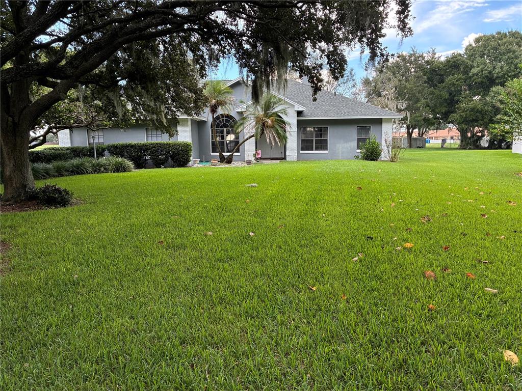 FRONT YARD