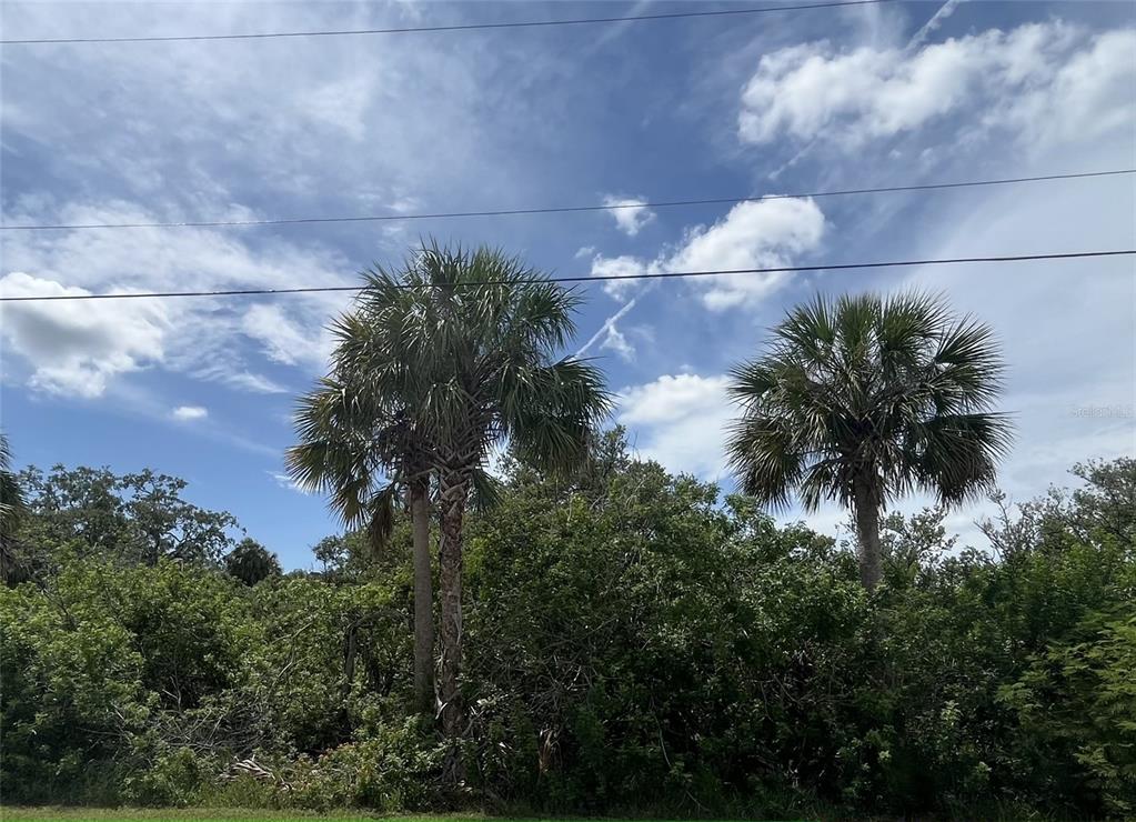 Property for sale at BETTY STREET, PORT RICHEY, FL, 34668