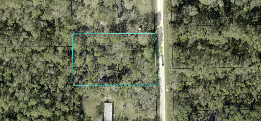 Property for sale at 1396 HICKORY STREET, BUNNELL, FL, 32110