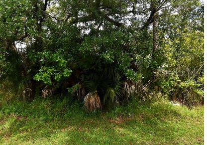 Property for sale at CARVER STREET, NORTH PORT, FL, 34286