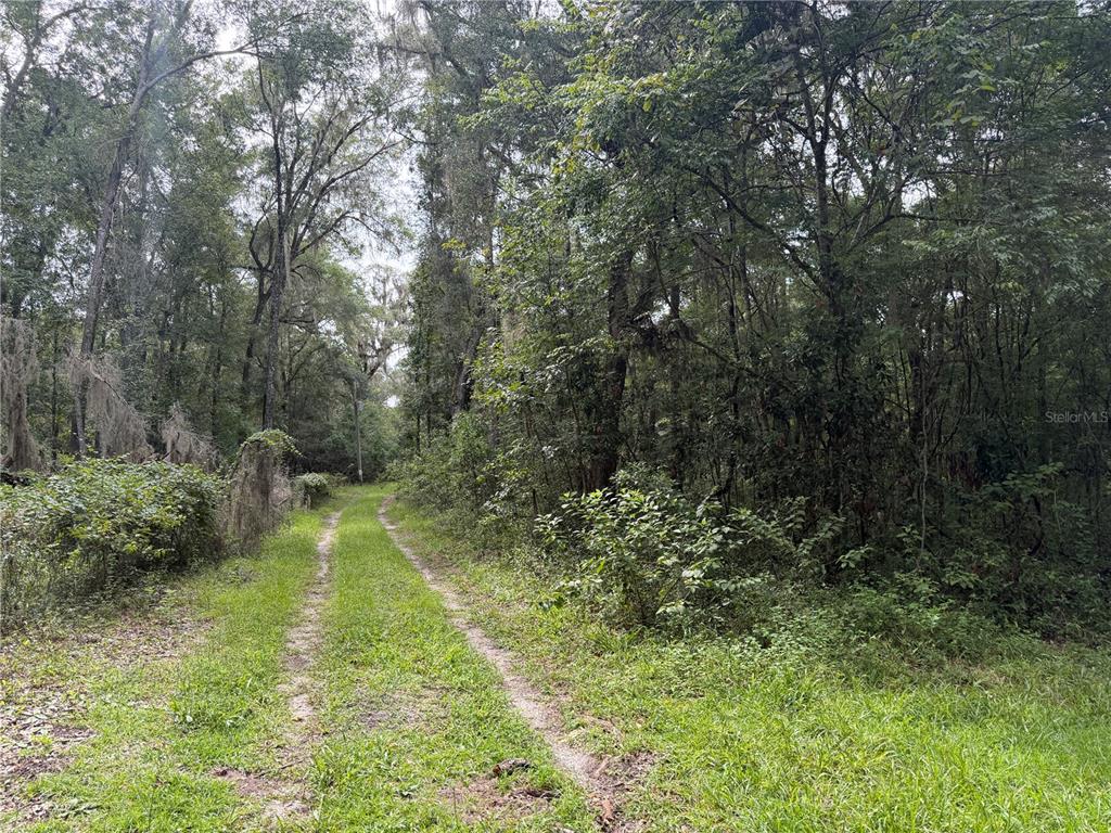 Southern Side of the Land