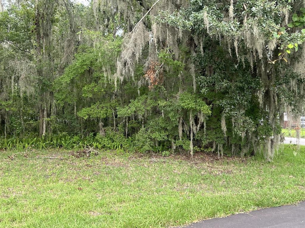 Property for sale at UNION STREET, BROOKSVILLE, FL, 34601