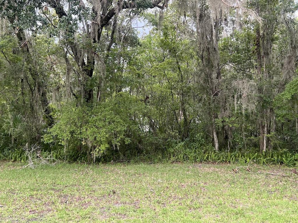 Property for sale at UNION STREET, BROOKSVILLE, FL, 34601