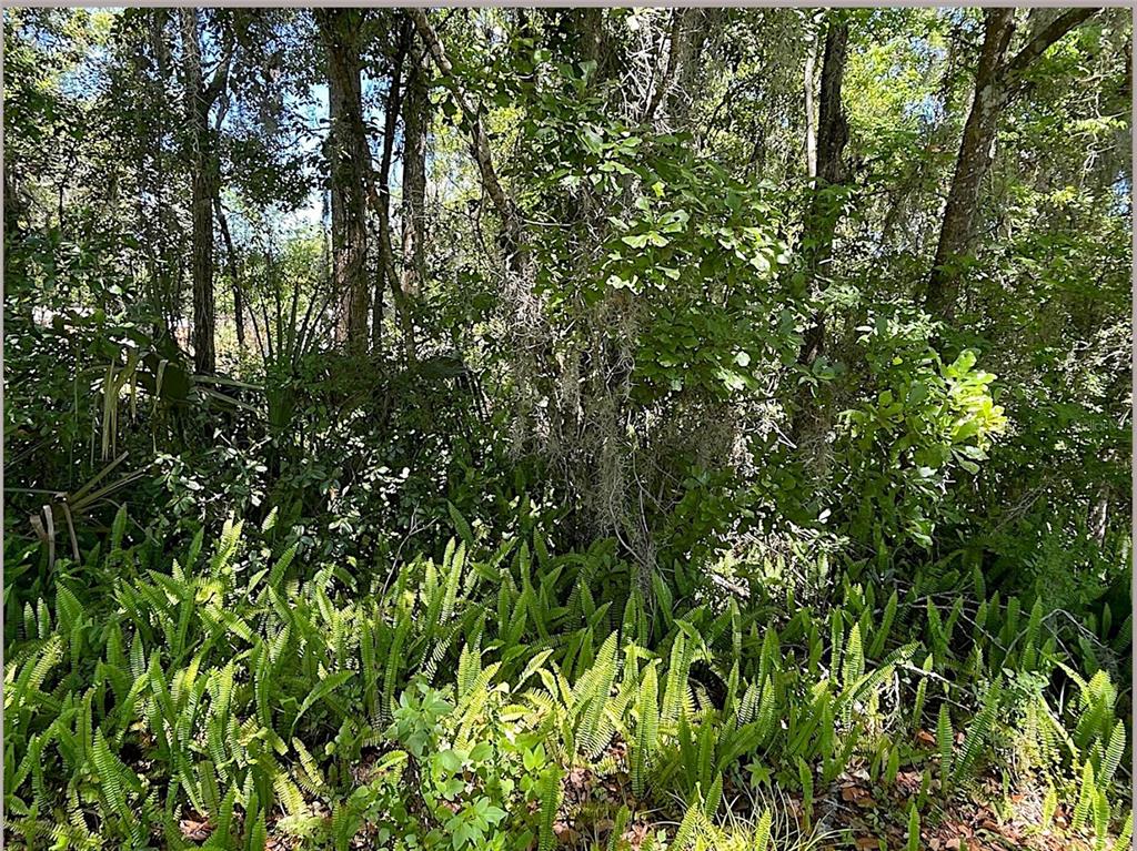 Property for sale at UNION STREET, BROOKSVILLE, FL, 34601
