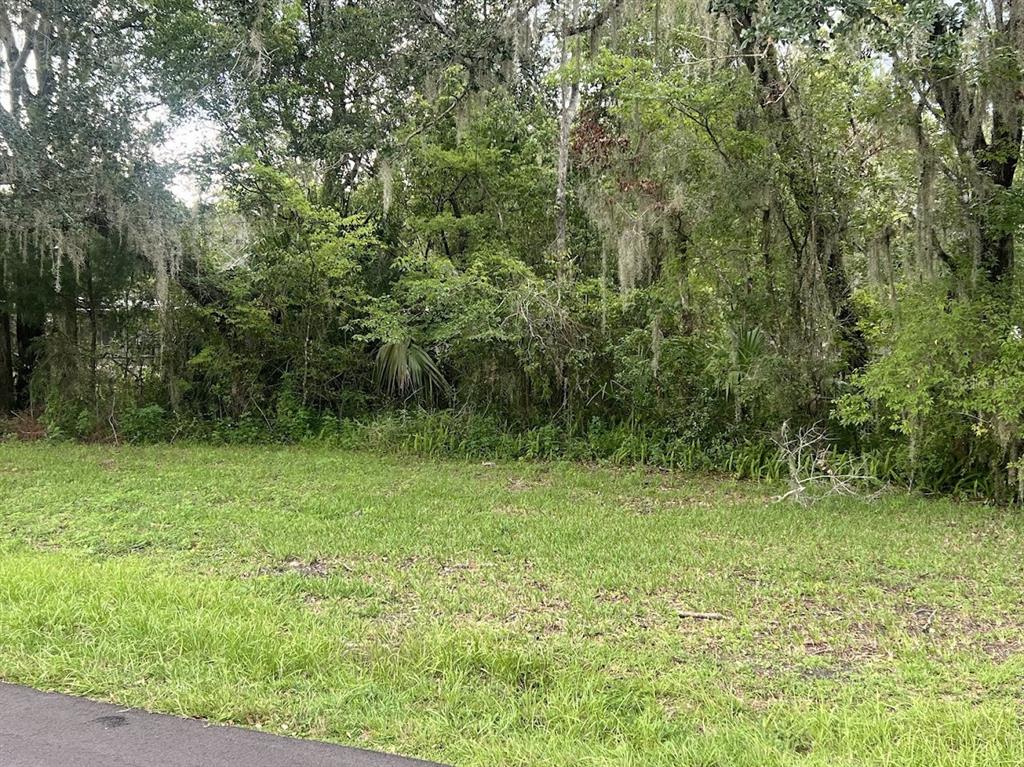 Property for sale at UNION STREET, BROOKSVILLE, FL, 34601