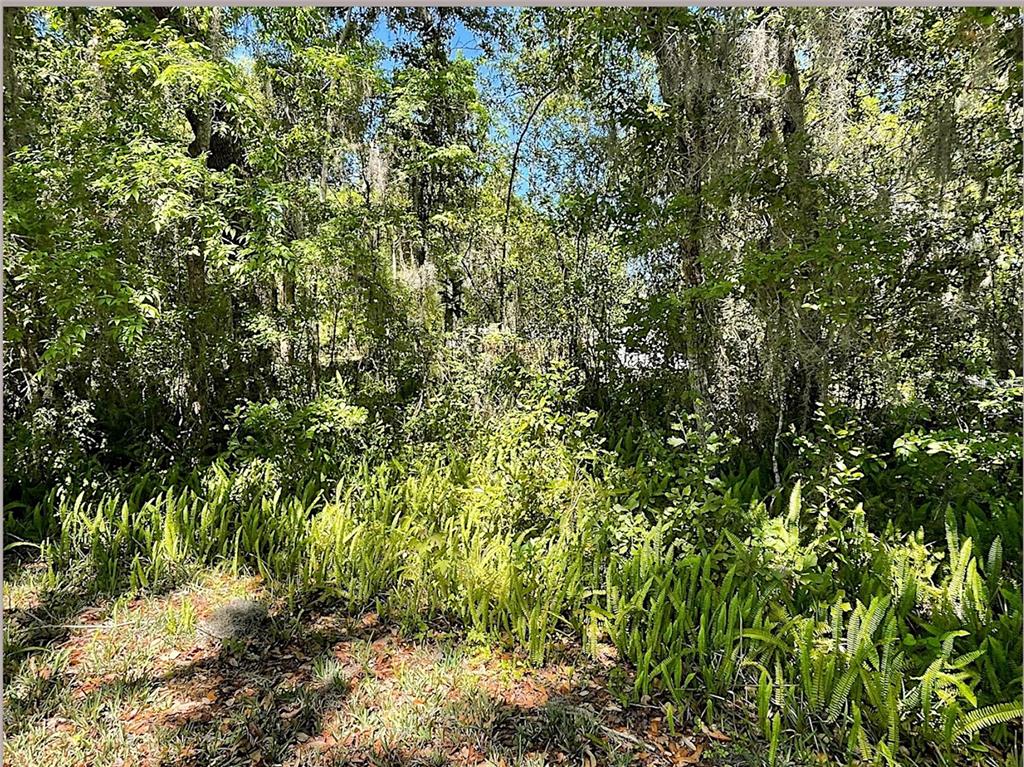 Property for sale at UNION STREET, BROOKSVILLE, FL, 34601
