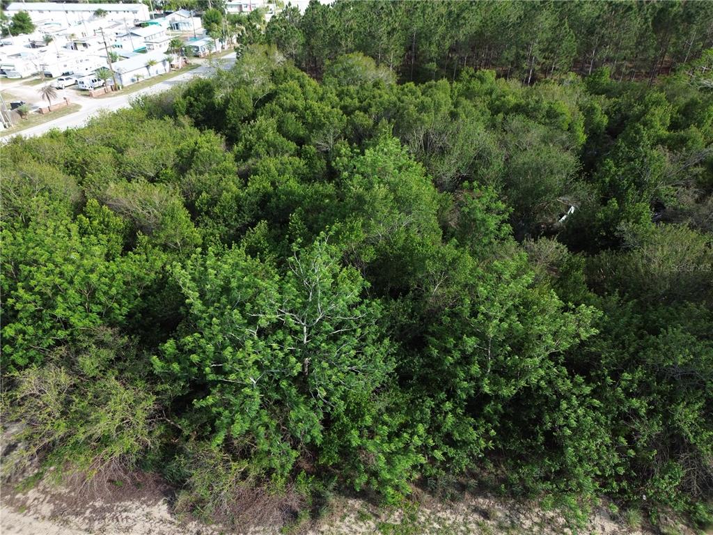 Property for sale at 3055 SR-17 N, SEBRING, FL, 33870