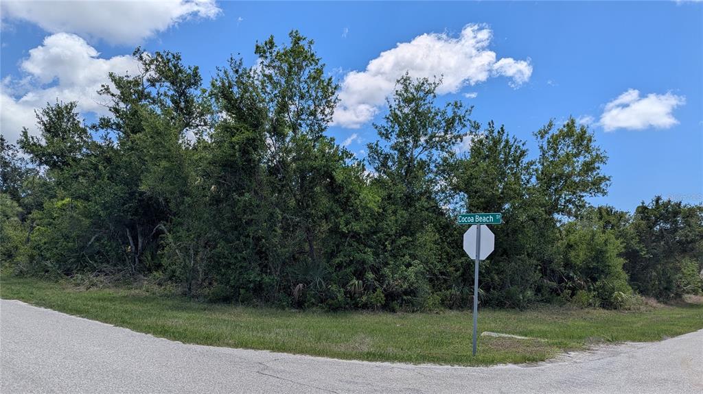 Welcome to Cocoa Beach Street in South Gulf Cove