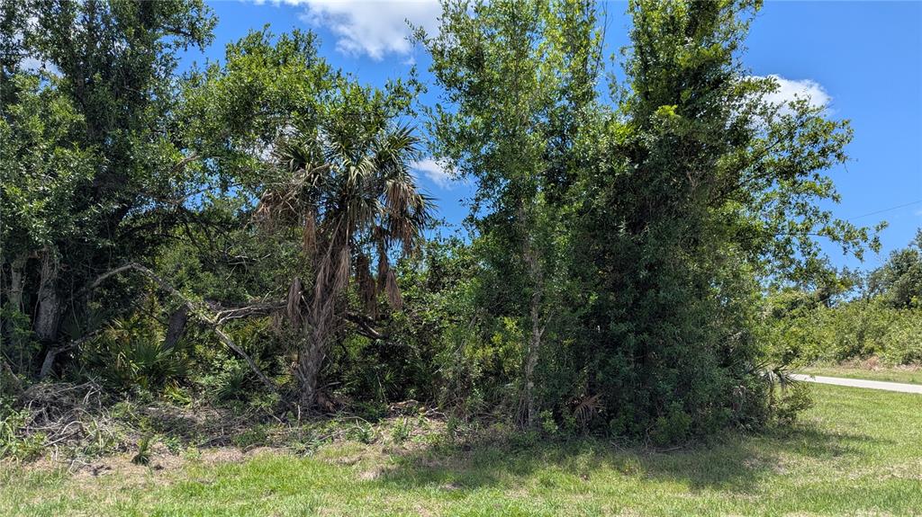 Property for sale at 10017 COCOA BEACH STREET, PORT CHARLOTTE, FL, 33981