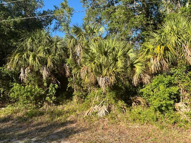 Property for sale at ABATE AVENUE, NORTH PORT, FL, 34288