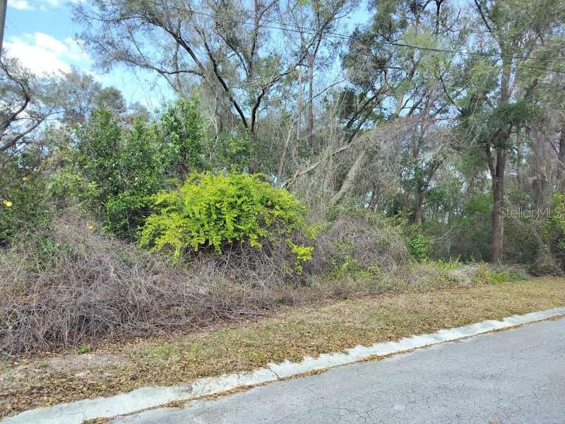 Property for sale at 204 ADELPHI STREET, INVERNESS, FL, 34452