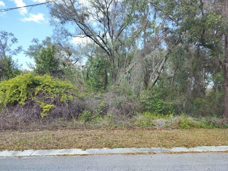 Property for sale at 204 ADELPHI STREET, INVERNESS, FL, 34452