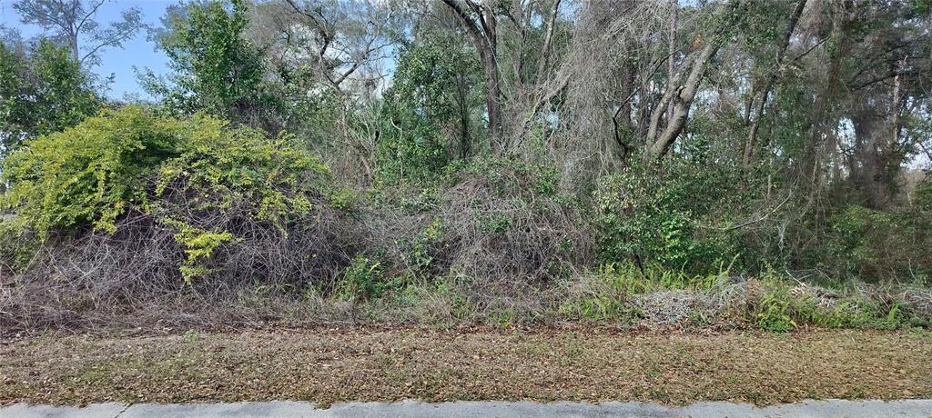 Property for sale at 204 ADELPHI STREET, INVERNESS, FL, 34452