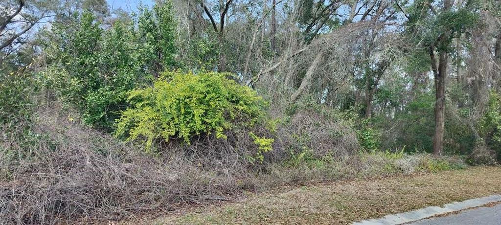 Property for sale at 204 ADELPHI STREET, INVERNESS, FL, 34452