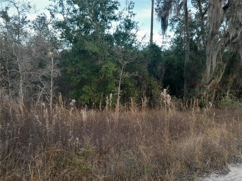 Property for sale at 1531 NE 123RD AVENUE, WILLISTON, FL, 32696