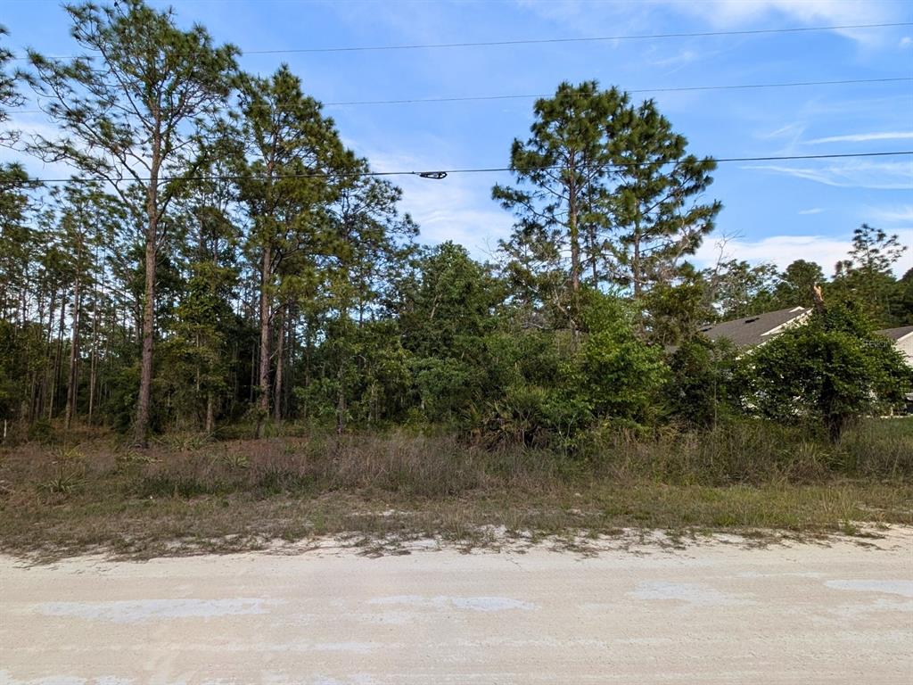 Property for sale at 15252 COOT ROAD, BROOKSVILLE, FL, 34614