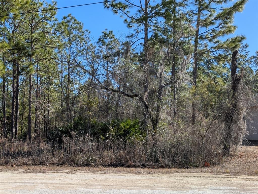 Property for sale at 15252 COOT ROAD, BROOKSVILLE, FL, 34614