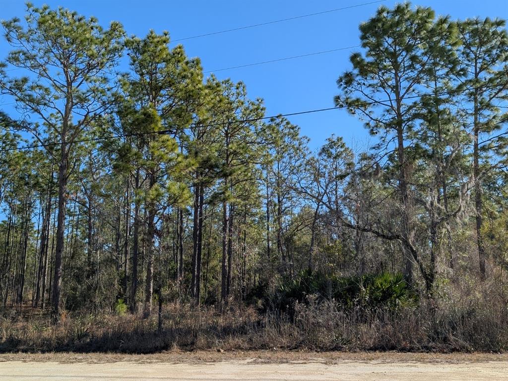 Property for sale at 15252 COOT ROAD, BROOKSVILLE, FL, 34614