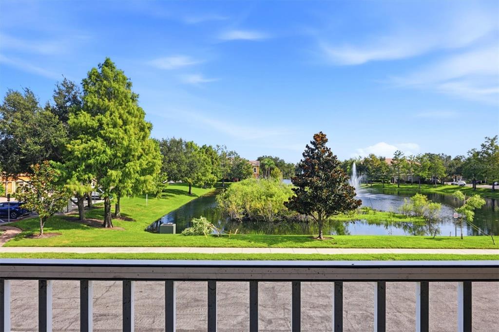 Pond Views