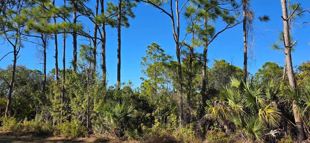 Property for sale at 12054 KELLER AVENUE, PORT CHARLOTTE, FL, 33981