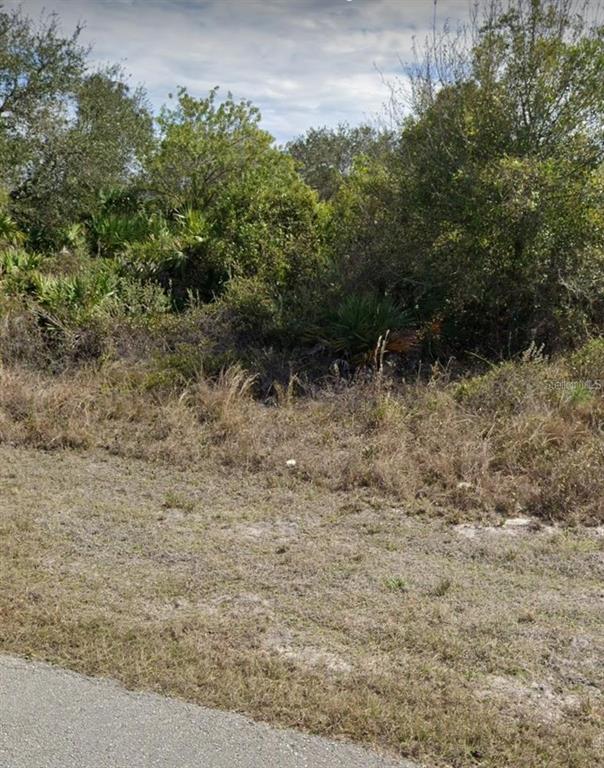 Property for sale at 0 SW 142ND COURT, OCALA, FL, 34481