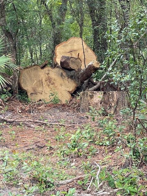 Property for sale at 2900 CLEBURNE ROAD, ORLANDO, FL, 32817