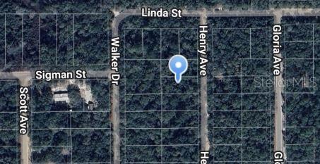Property for sale at HENRY AVENUE, INTERLACHEN, FL, 32148