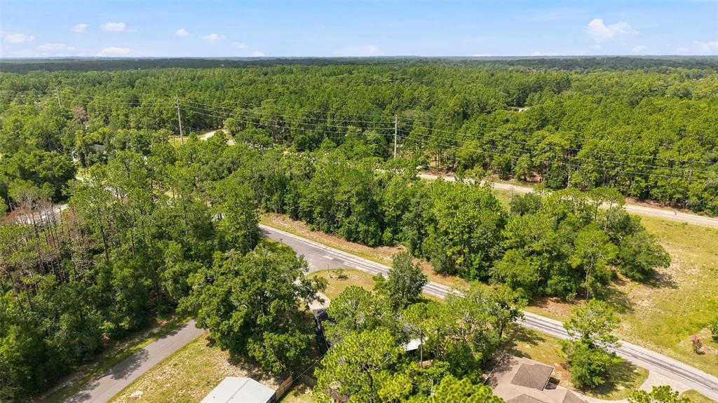 Property for sale at 1320 W SORRENTO DRIVE, CITRUS SPRINGS, FL, 34434
