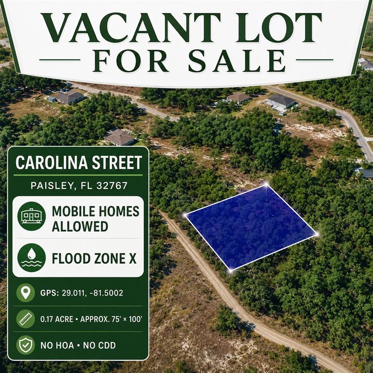Property for sale at CAROLINA STREET, PAISLEY, FL, 32767