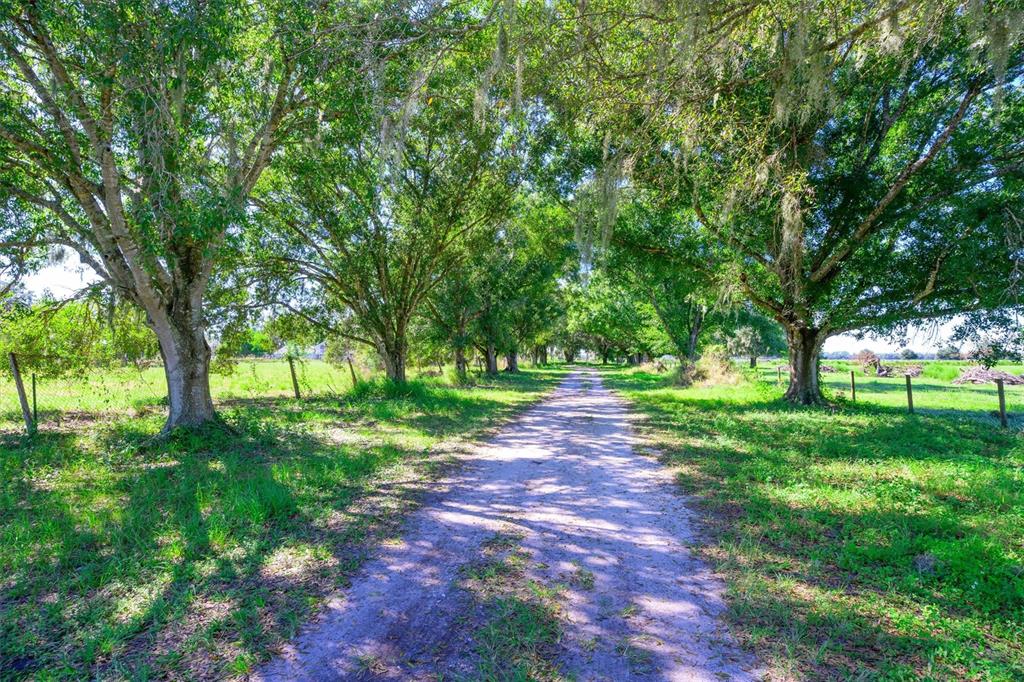 Property for sale at 10650 BRENDLE ROAD, MYAKKA CITY, FL, 34251